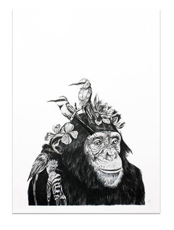 detailed drawing of a chimpanzee with hoopoes in pencil on paper