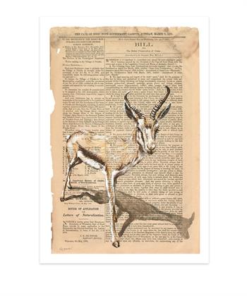 art print of a painting of a gazelle on newsprint by Lisette Forsyth
