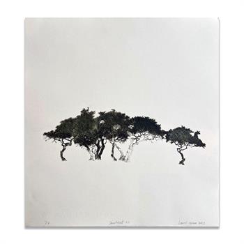 Sentient XII - Handmade Print by Laurel Holmes