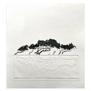 handmade etching of trees, with blind embossing on the paper