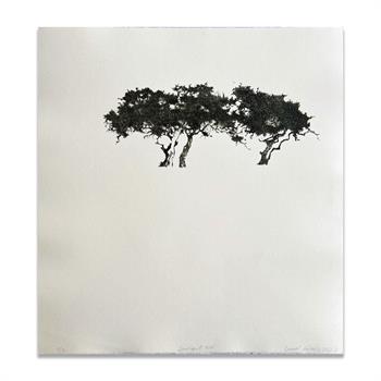 Sentient XIV - Handmade Print by Laurel Holmes