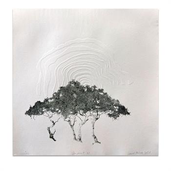 drypoint etching on embossed paper of trees in wood soot ink