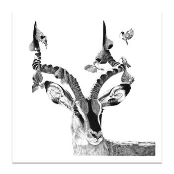 Letter To The Birds - Drawing by Kendall-Leigh Nash