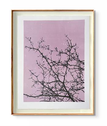 framed linocut print on paper of branches against a dusky pink sky