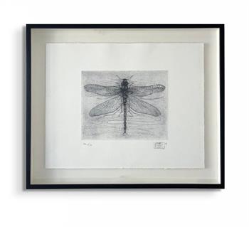 In Transient - Handmade Print by Andie Rodwell