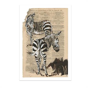 print on paper of a painting of two zebra on newspaper