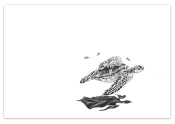 large, detailed drawing on paper of a turtle with sea anemone and fish