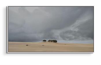 framed picture in oil on wood panel of the African landscape with grey skies