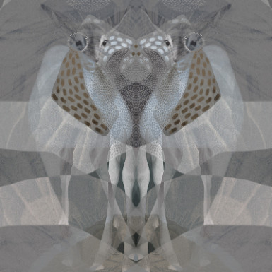 DIGITAL ART