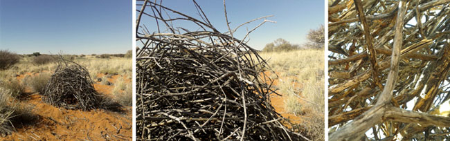 Land art by Janet Botes