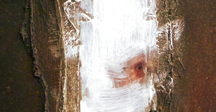 detail from a painting by Cedric Vanderlinden