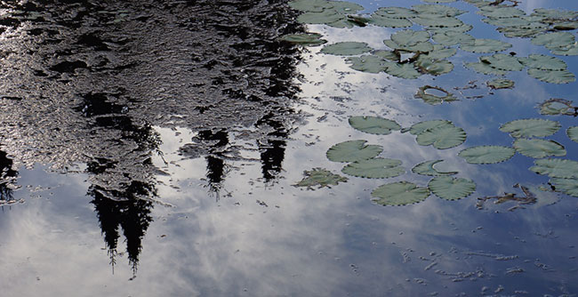 Canadian landscape