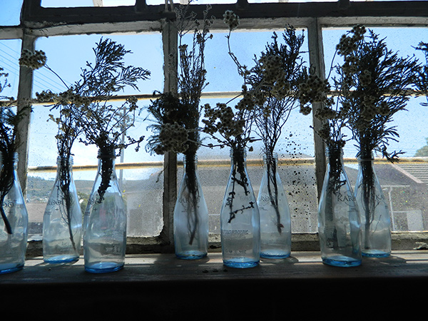 old glass bottles on a window shelf