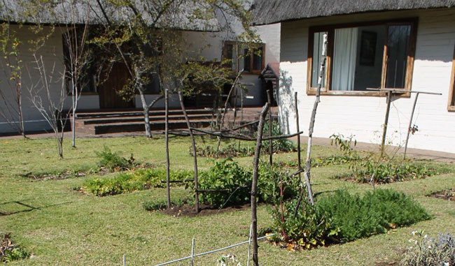 Laurel's vegetable garden